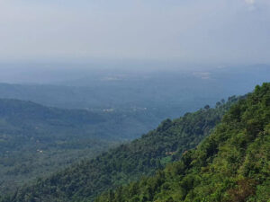 Chillax Gallery - 41