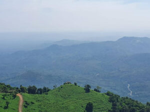 Chillax Gallery - 43