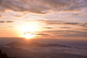 Chillax Gallery - 45