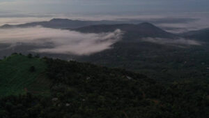 Chillax Gallery - 46