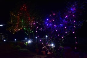 Chillax Gallery - 48