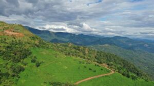 Chillax Gallery - 49