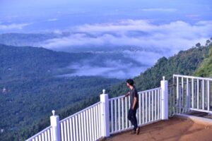 Chillax Gallery - 50